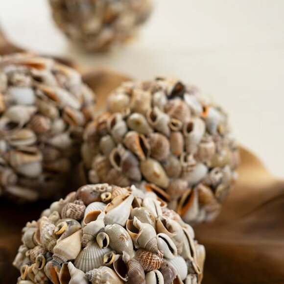 Shell Ball - Picture 4 of 4